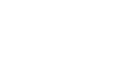 dms logo