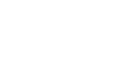 sig logo